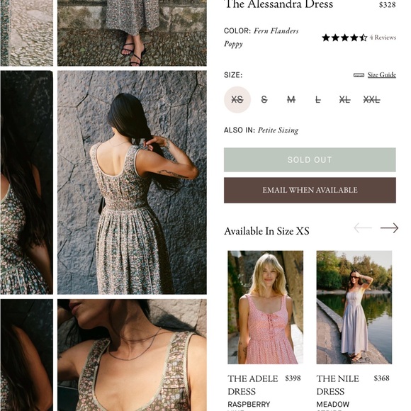 Christy Dawn Alessandra dress in Fern Flanders Poppy - Picture 11 of 13